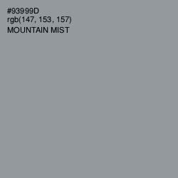 #93999D - Mountain Mist Color Image